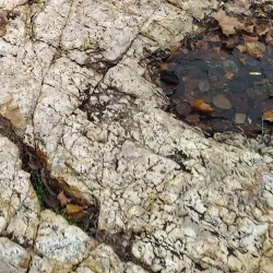 Grand Falls - Joplin