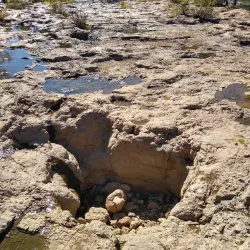 Grand Falls - Joplin