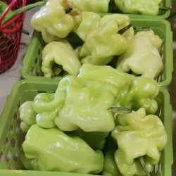 Joplin City Market - Joplin