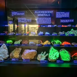 Joplin Museum Complex - Joplin