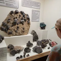 Joplin Museum Complex - Joplin