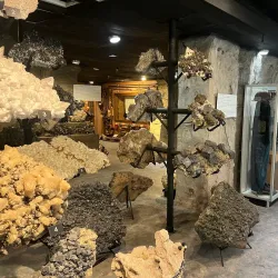 Joplin Museum Complex - Joplin