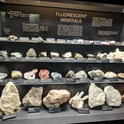 Joplin Museum Complex - Joplin