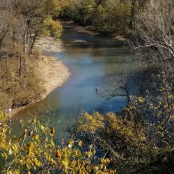 Wildcat Glades Conservation & Audubon Center - Joplin