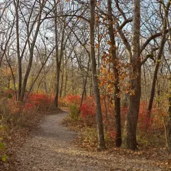 Wildcat Glades Conservation & Audubon Center - Joplin