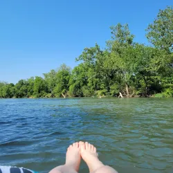 Wildcat Glades Conservation & Audubon Center - Joplin
