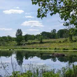 Wildcat Glades Conservation & Audubon Center - Joplin