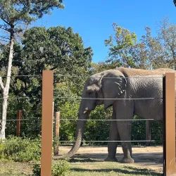 Kansas City Zoo - Kansas City