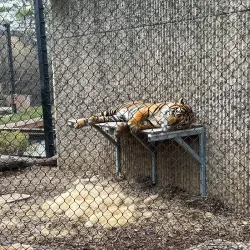 Kansas City Zoo - Kansas City