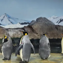 Kansas City Zoo - Kansas City