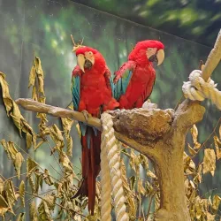 Kansas City Zoo - Kansas City