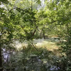 Bear Creek Park - Kirksville