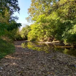 Bear Creek Park - Kirksville