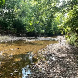 Bear Creek Park - Kirksville