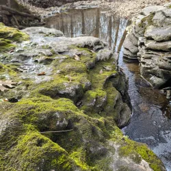 Bear Creek Park - Kirksville