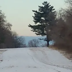 Fleming Park - Lee Summit