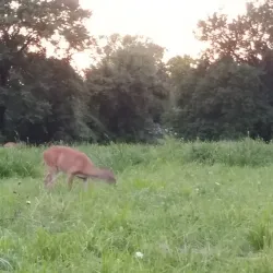 Fleming Park - Lee Summit