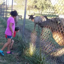 Lake Jacomo - Lee Summit
