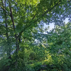 Legacy Park - Lee Summit