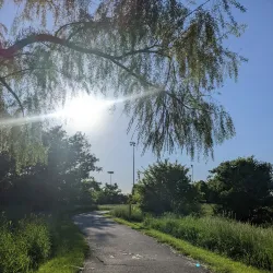 Legacy Park - Lee Summit