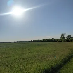 Legacy Park - Lee Summit