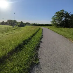 Legacy Park - Lee Summit