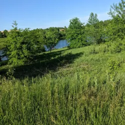 Legacy Park - Lee Summit