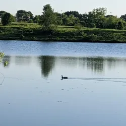 Legacy Park - Lee Summit