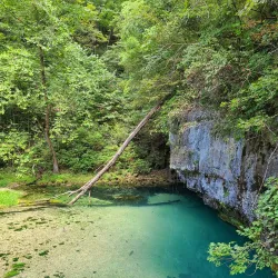 Ha Ha Tonka State Park - Miller