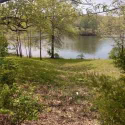 Lake of the Ozarks Marina - Miller