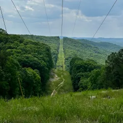 Lake Ozark Zipline Adventures - Miller