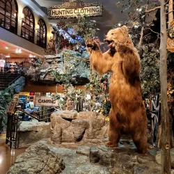 Bass Pro Shops Outdoor World - Nixa
