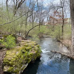 Glenstone Park - Nixa