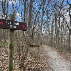 Glenstone Park - Nixa