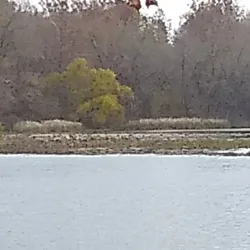 Lake Springfield Park - Nixa