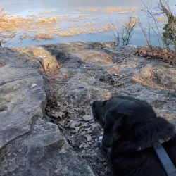 Lake Springfield Park - Nixa