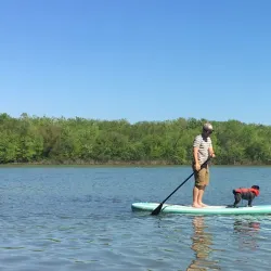 Lake Springfield Park - Nixa