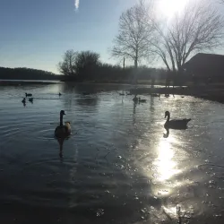 Lake Springfield Park - Nixa