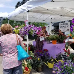 Nixa Farmers Market - Nixa