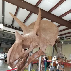 Nixa Historical Museum - Nixa