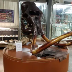 Nixa Historical Museum - Nixa