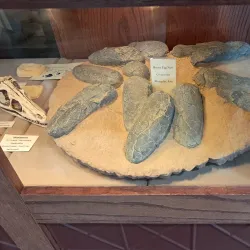 Nixa Historical Museum - Nixa