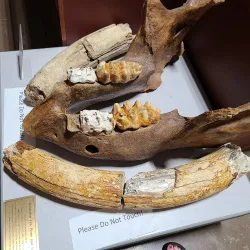 Nixa Historical Museum - Nixa