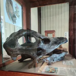 Nixa Historical Museum - Nixa