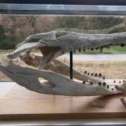 Nixa Historical Museum - Nixa