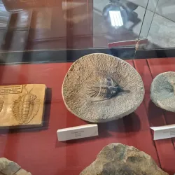 Nixa Historical Museum - Nixa