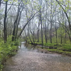 Springfield Conservation Nature Center - Nixa