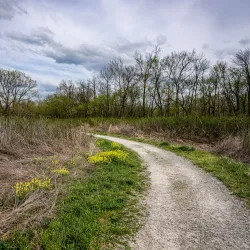 Springfield Conservation Nature Center - Nixa