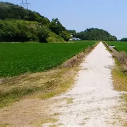 Katy Trail State Park - O'Fallon