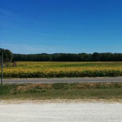 Katy Trail State Park - O'Fallon